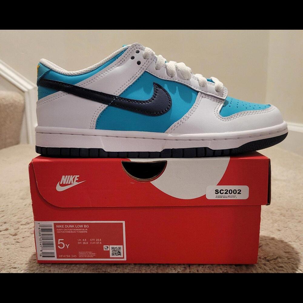 Nike Dunk Low BG Dusty Cactus Hf4794-345 Size 5y/6.5w